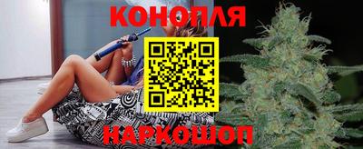 крисы Лесосибирск