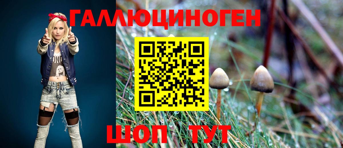 Псилоцибиновые грибы ЛСД  Вход с VPN  Евпатория  Галлюциногенные грибы Magic Shrooms 