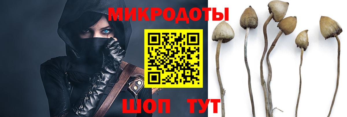 Псилоцибиновые грибы GOLDEN TEACHER Евпатория